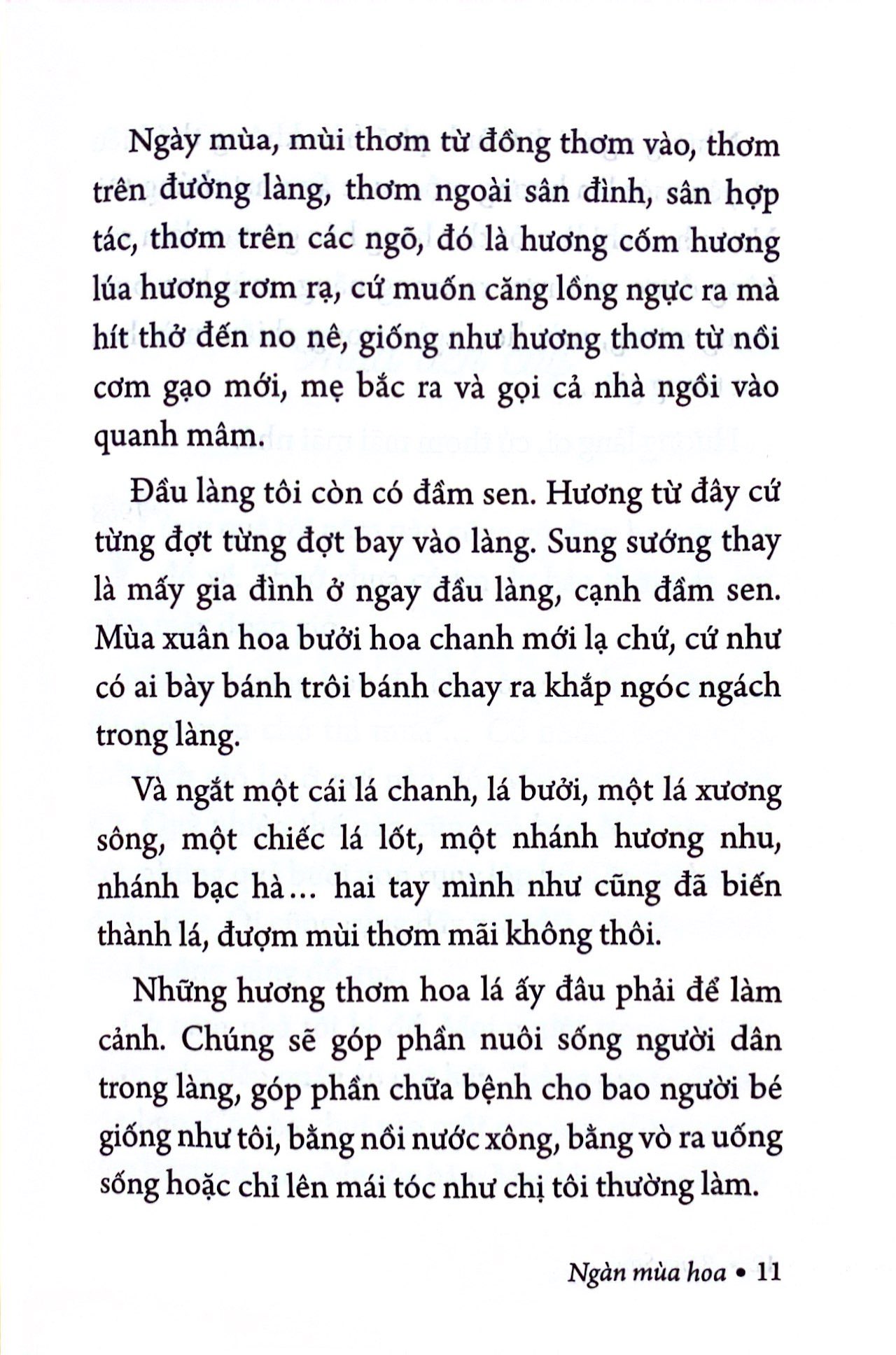 Bộ Ngàn Mùa Hoa - Nét Đẹp Quê Hương - Ảnh 4