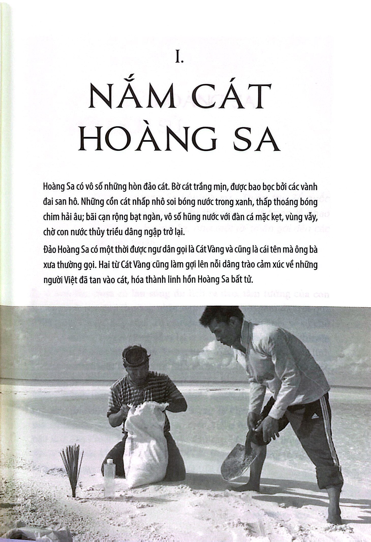 bộ như cây phong ba trên đảo hoàng sa - tập 1: trên quê hương hải đội hoàng sa (2022) - Ảnh 9