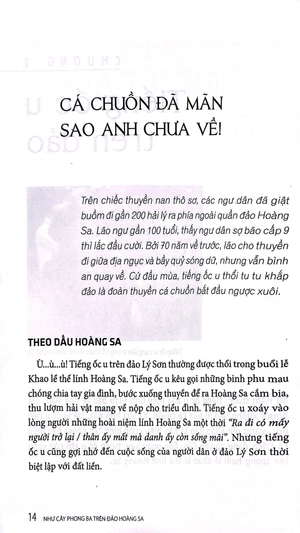 bộ như cây phong ba trên đảo hoàng sa - tập 2: những ngư dân hoàng sa kiên cường (2022) - Ảnh 10