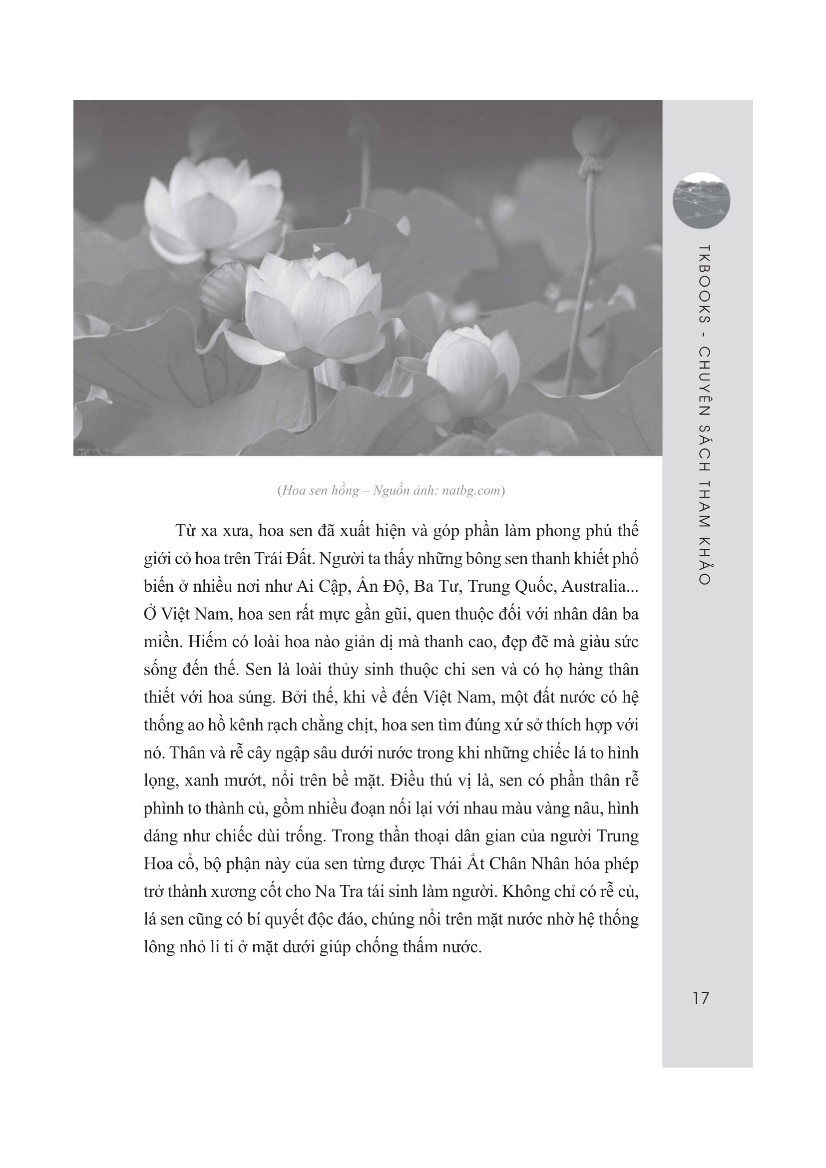 bộ những bài văn mẫu 8 - tập 2 - Ảnh 18