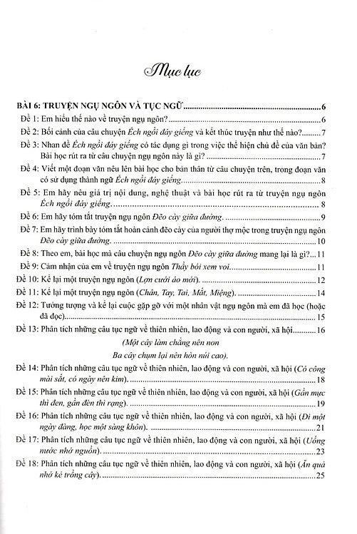 Bộ Những Bài Văn Mẫu Lớp 7 - Tập 2 (Bộ Sách Cánh Diều) - Ảnh 2