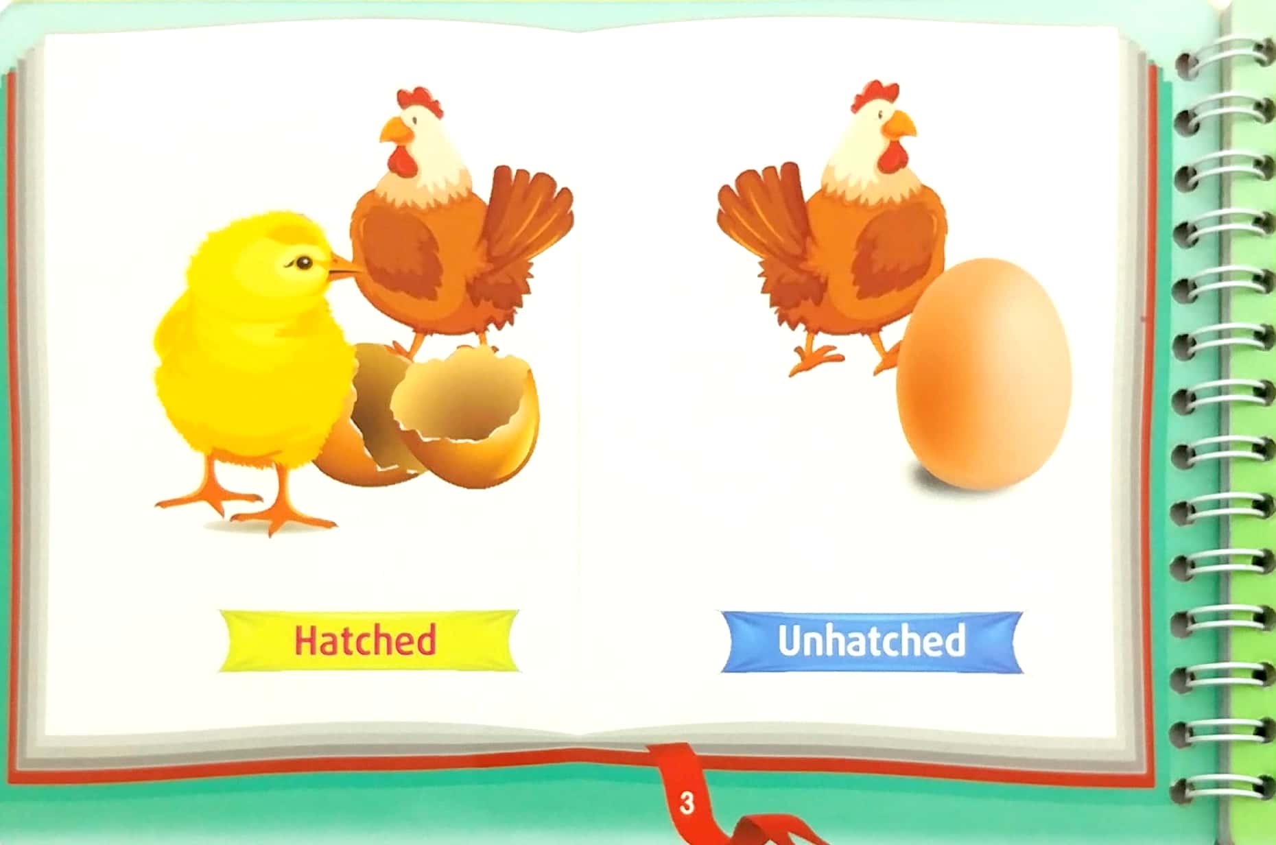 bộ những cặp từ vựng trái nghĩa và trò chơi ghép chữ - opposite words in pictures (tập 2) - Ảnh 4