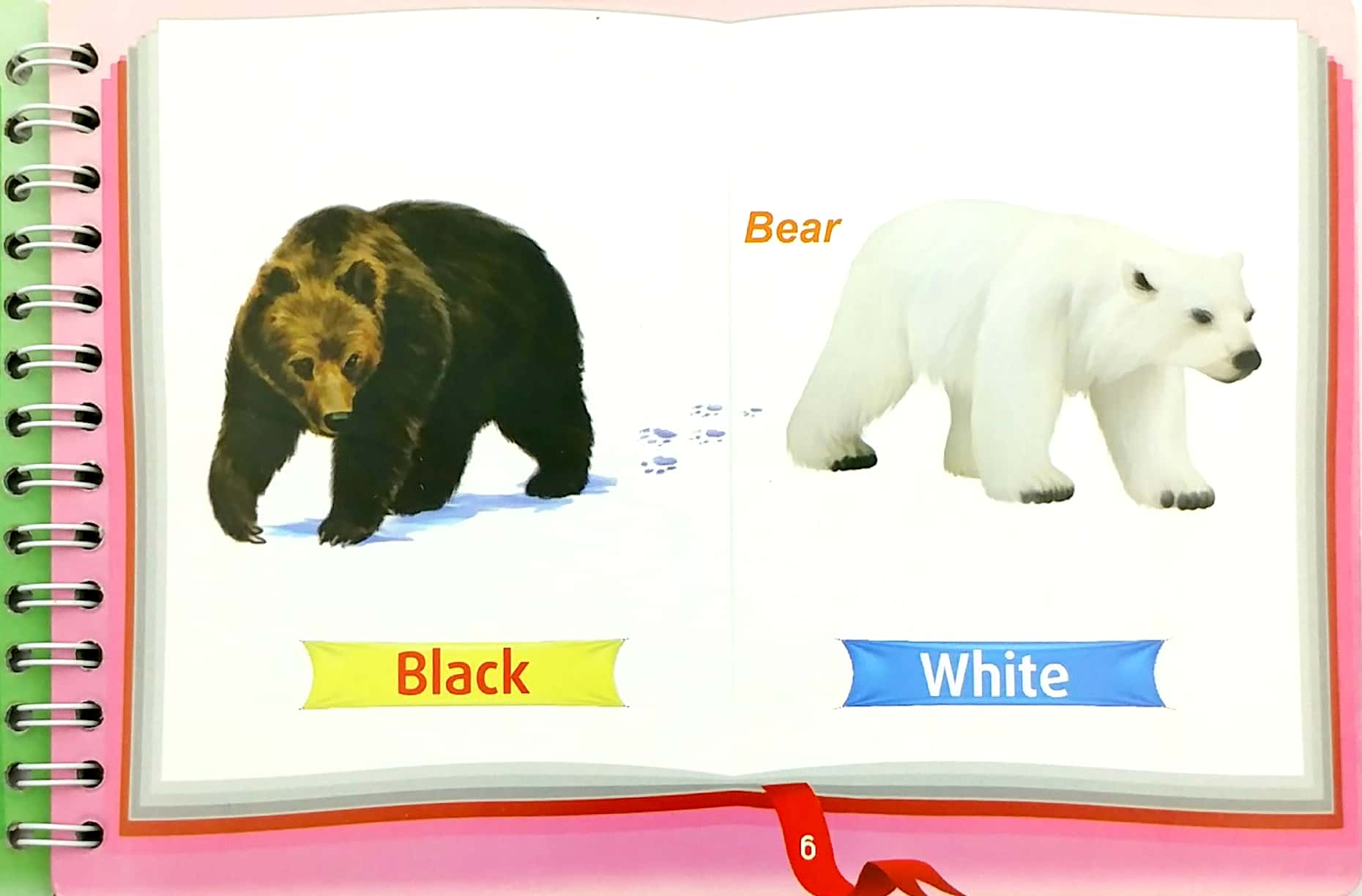 bộ những cặp từ vựng trái nghĩa và trò chơi ghép chữ - opposite words in pictures (tập 2) - Ảnh 7