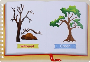 bộ những cặp từ vựng trái nghĩa và trò chơi ghép chữ - opposite words in pictures (tập 3) - Ảnh 14