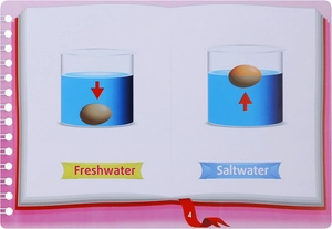 bộ những cặp từ vựng trái nghĩa và trò chơi ghép chữ - opposite words in pictures (tập 3) - Ảnh 6