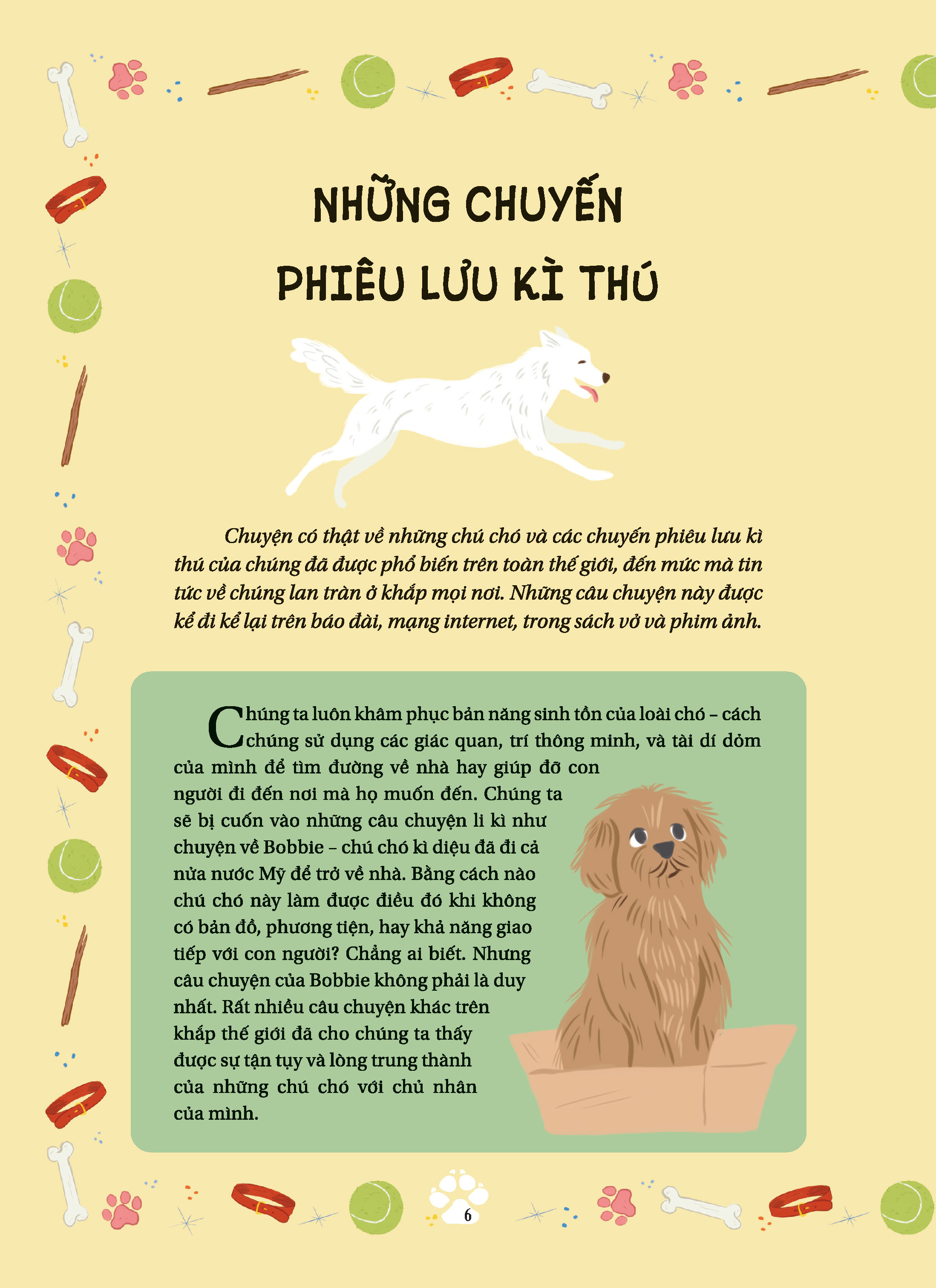 bộ những câu chuyện về loài mèo + những câu chuyện về loài chó (bộ 2 cuốn) - Ảnh 5