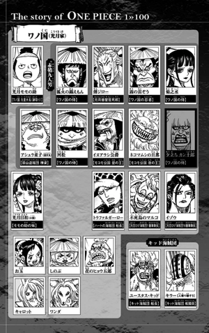 bộ one piece 100 - Ảnh 5