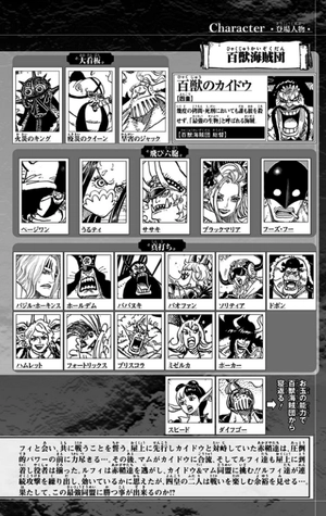 bộ one piece 100 - Ảnh 6