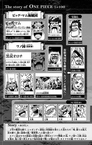 bộ one piece 100 - Ảnh 7