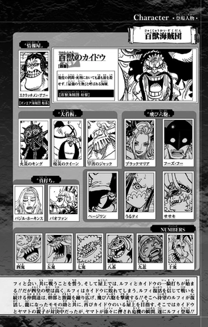 bộ one piece 102 - Ảnh 14