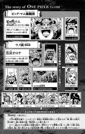 bộ one piece 102 - Ảnh 15