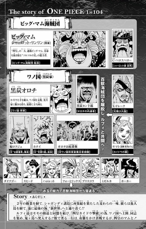 bộ one piece 104 - Ảnh 7