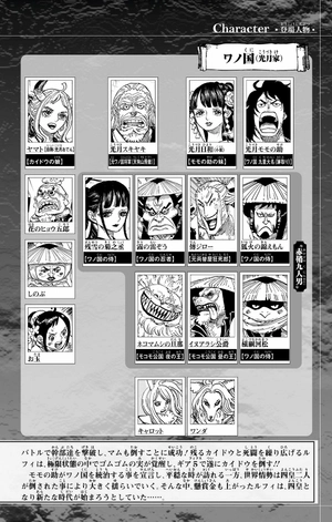 bộ one piece 105 - Ảnh 6