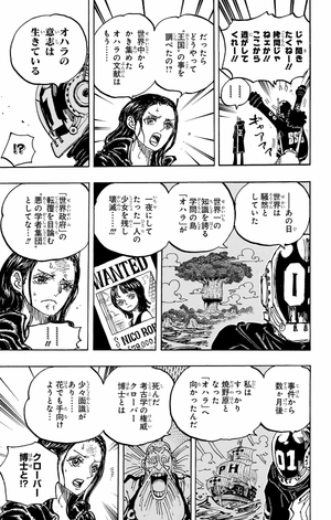 bộ one piece 106 - Ảnh 14