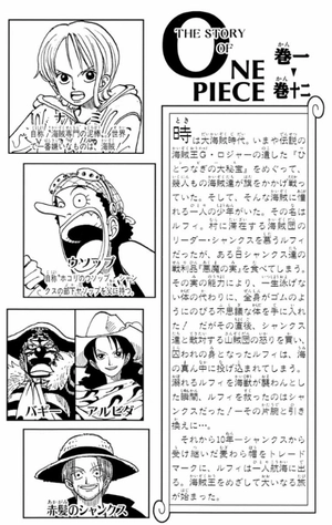 bộ one piece 12 - Ảnh 5