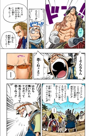 bộ one piece 19 - Ảnh 14