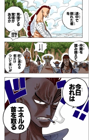 bộ one piece 28 - Ảnh 14