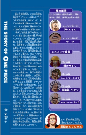 bộ one piece 30 - Ảnh 7