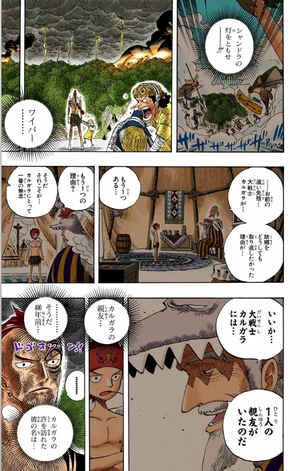 bộ one piece 31 - Ảnh 15
