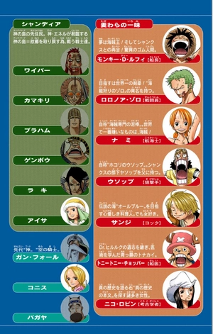 bộ one piece 31 - Ảnh 5