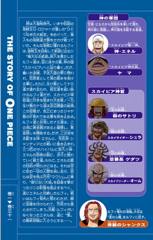 bộ one piece 31 - Ảnh 6