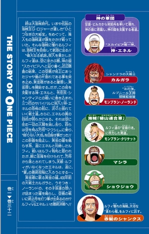 bộ one piece 32 - Ảnh 6