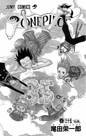 bộ one piece 35 - Ảnh 4