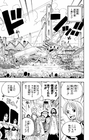 bộ one piece 36 - Ảnh 10