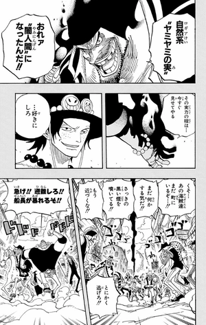 bộ one piece 46 - Ảnh 10