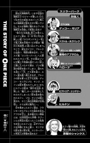 bộ one piece 48 - Ảnh 6