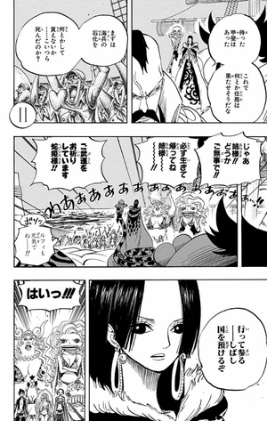 bộ one piece 54 - Ảnh 15