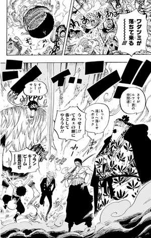 bộ one piece 66 - Ảnh 12
