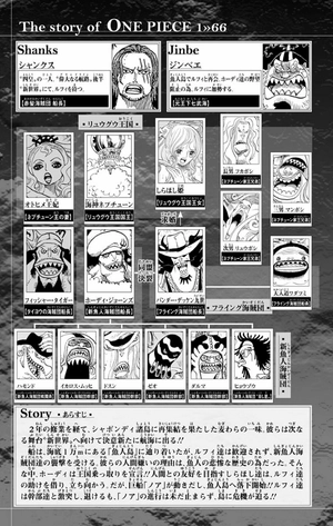 bộ one piece 66 - Ảnh 7