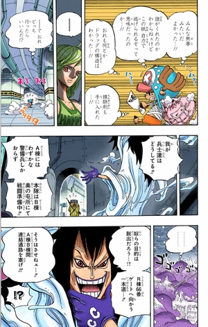 bộ one piece 69 - Ảnh 12