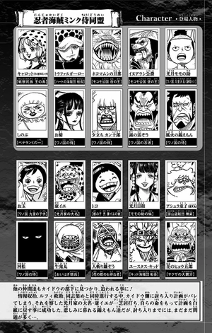bộ one piece 94 - Ảnh 5