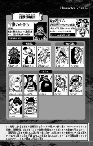 bộ one piece 96 - Ảnh 10