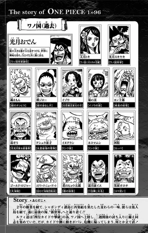 bộ one piece 96 - Ảnh 12