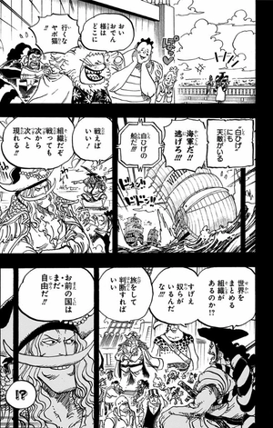 bộ one piece 96 - Ảnh 20