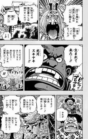 bộ one piece 96 - Ảnh 34
