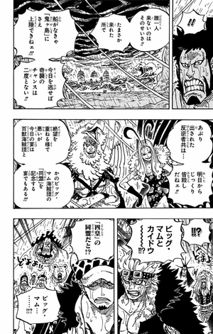 bộ one piece 97 - Ảnh 14