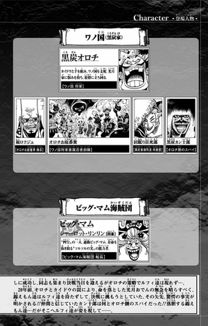 bộ one piece 97 - Ảnh 6