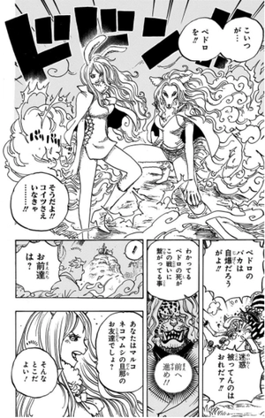 bộ one piece 99 - Ảnh 14