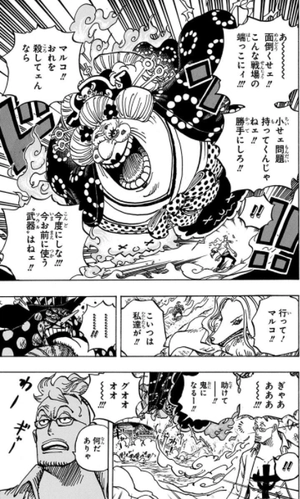 bộ one piece 99 - Ảnh 15