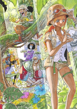 bộ one piece colorwalk vol. 9: tiger illustration collection art book - Ảnh 3