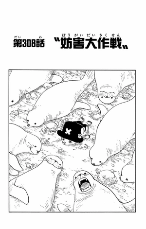 bộ one piece doors! 2 - Ảnh 10