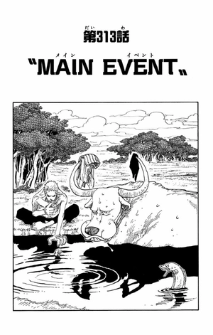 bộ one piece doors! 2 - Ảnh 14