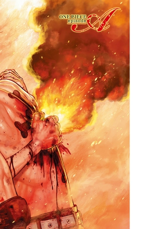 bộ one piece episode a 1 - Ảnh 3