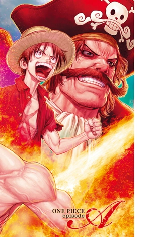 bộ one piece episode a 2 - Ảnh 3
