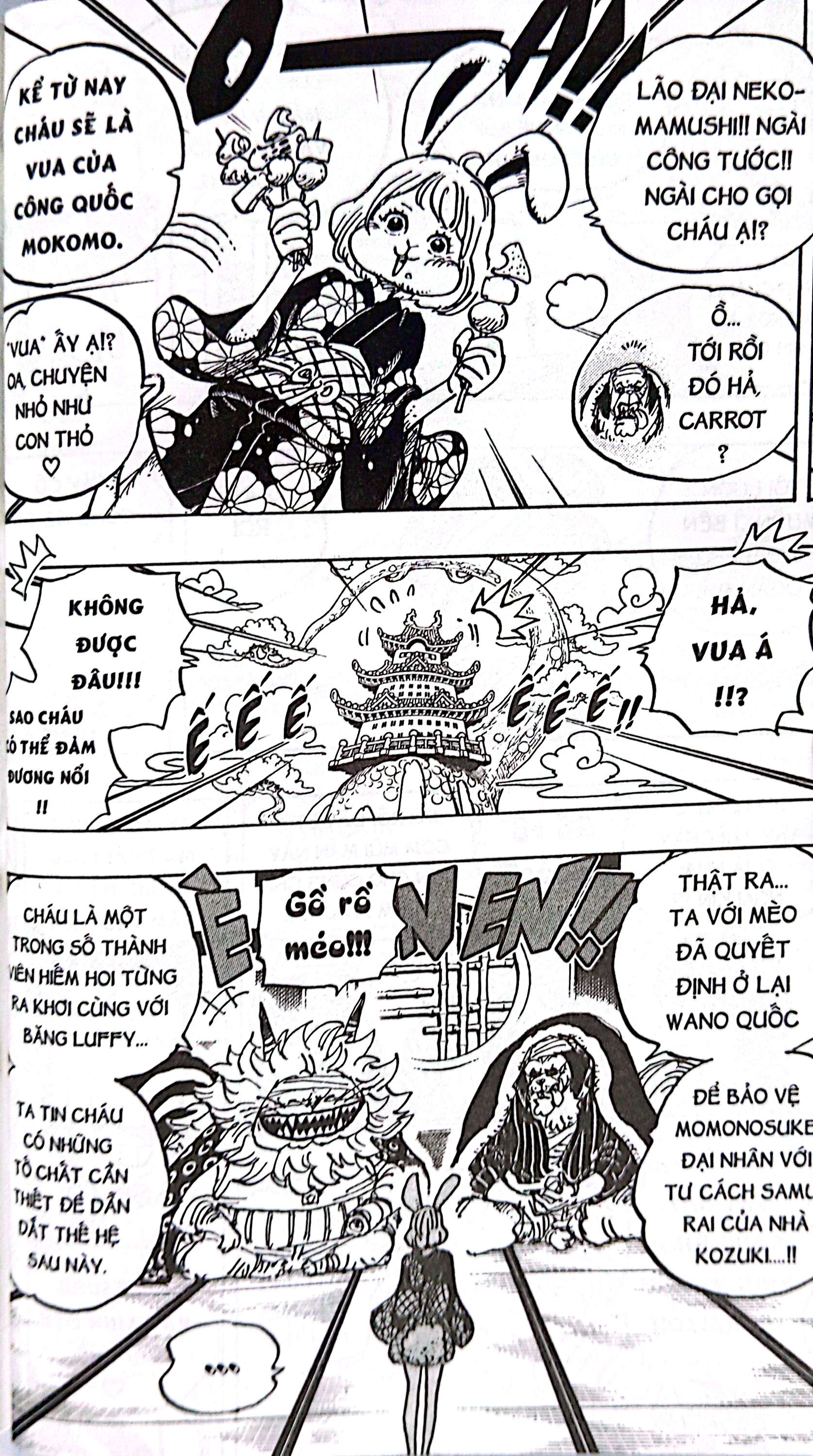 Bộ One Piece - Tập 105 - “Ước Mơ Của Luffy” - Bản Bìa Áo - Ảnh 7