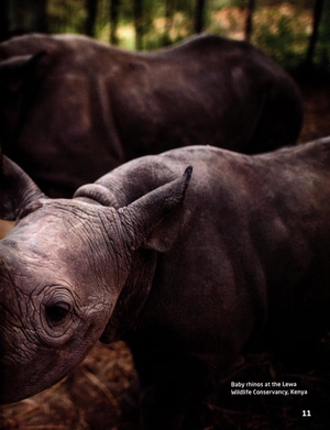 bộ our world american english 3: student's book with online practice 2nd edition - Ảnh 7